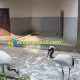 crowned crane fence mesh, crane cage netting