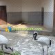 crowned crane fence mesh, crane cage netting