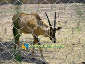 deer fence protection mesh