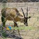 deer fence protection mesh