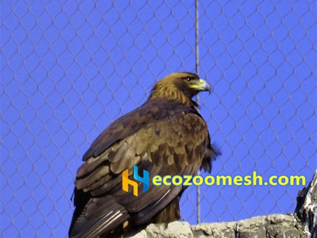 eagle cage fence mesh, stainless steel wire rope mesh for eagle cage