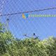 eagle cage fence netting