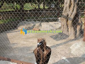 Eagle cage netting fence