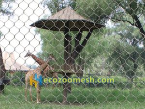 giraffe fence nets, giraffe enclosure fence mesh