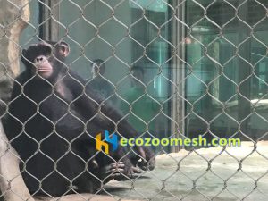 gorilla enclosure fence mesh