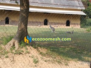 kangaroo fence enclousre mesh, deer enclosure mesh, deer fence
