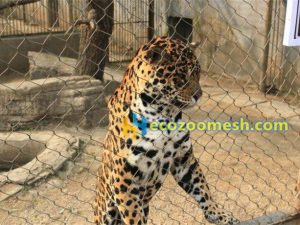 leopard enclosure fence mesh, leopard enclosure nets