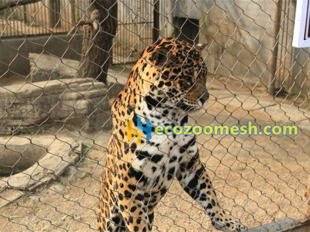 https://ecozoomesh.com/wp-content/uploads/2017/08/leopard-enclosure-fence-mesh-leopard-enclosure-nets.jpg