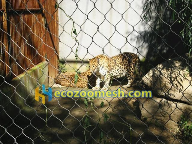 Leopard Cage Mesh  Zoo Mesh Supplier-Hengyi