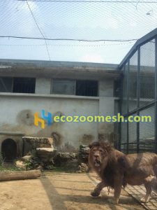 lion cage mesh, lion enclosure fence