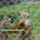 monkey cage fence mesh