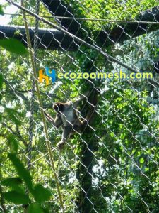 monkey protection mesh, monkey cage protection