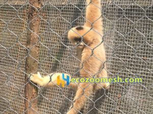monkey safety protection mesh