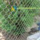 peacock fence netting, peacock cage fence