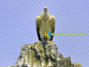 stainless steel eagle cage covered mesh