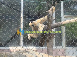 stainless steel monkey fence mesh