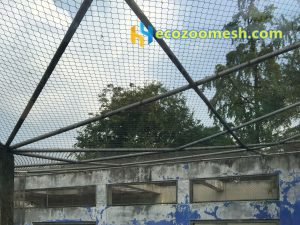 the top covered mesh of monkey cage