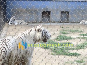 tiger fence, tiger cage fence, tiger fencing