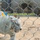 tiger safety protection mesh, tiger cage mesh