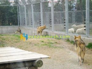wolf enclosure fence mesh, wolf cage isolated mesh