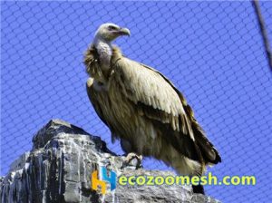 Vulture enclosure mesh, vulture fencing nets