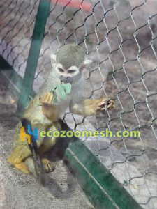 zoo monkey cage mesh, monkey cage protection netting