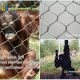gibbon fence mesh, gibbon enclosure netting