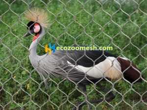 stainless steel bird netting, bird cage netting, bird netting fence