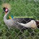 stainless steel bird netting, bird cage netting, bird netting fence