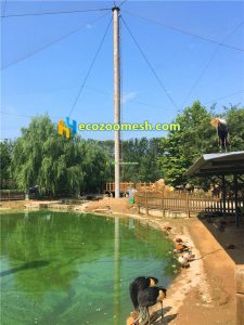 Birds aviary netting mesh02