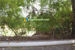 Birds aviary netting mesh06