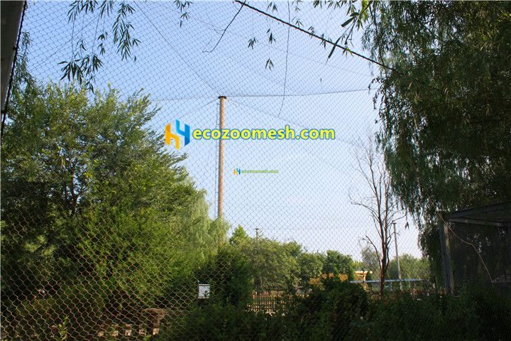 Birds aviary netting mesh07
