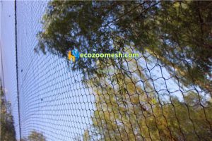 Birds aviary netting mesh08