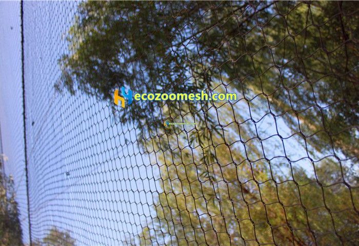 Birds aviary netting mesh08