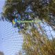 Birds aviary netting mesh08