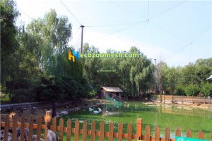 Birds aviary netting mesh10