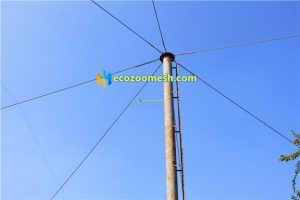 Birds aviary netting mesh12