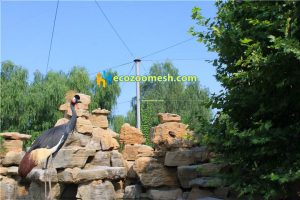 Birds aviary netting mesh14