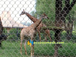 stainless steel deer enclosure fence mesh