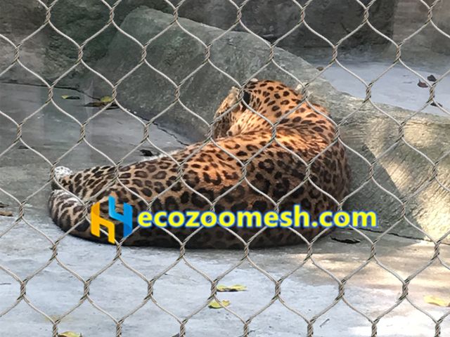 https://ecozoomesh.com/wp-content/uploads/2017/12/leopard-protection-mesh-in-leopard-exhibit.jpg
