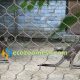 Zoo mesh for factory sales, USA zoo mesh sales