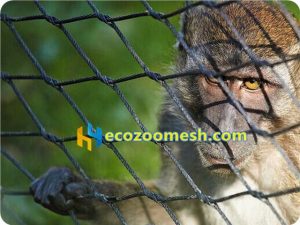 Zoo mesh for factory sales, USA zoo mesh sales
