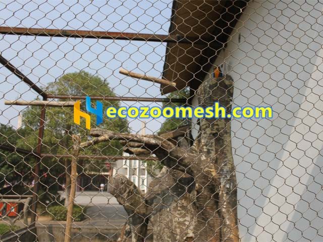 Parrot mesh netting