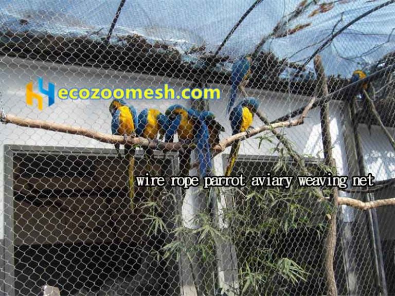 Image showcasing Parrot Aviary Mesh | Zoo Mesh Supplier-Hengyi