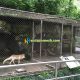 Soft metal wolf fence cage, wolf enclosure mesh