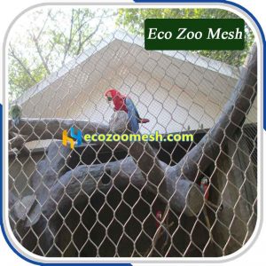 small bird aviary steel wire rope mesh