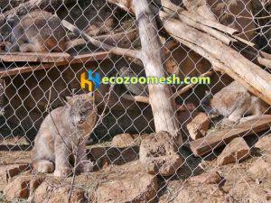 Metal woven small cat mesh