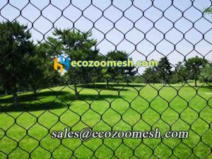 black Steel wire mesh railing for sale