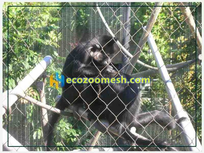 Safest Zoo Wire Mesh9