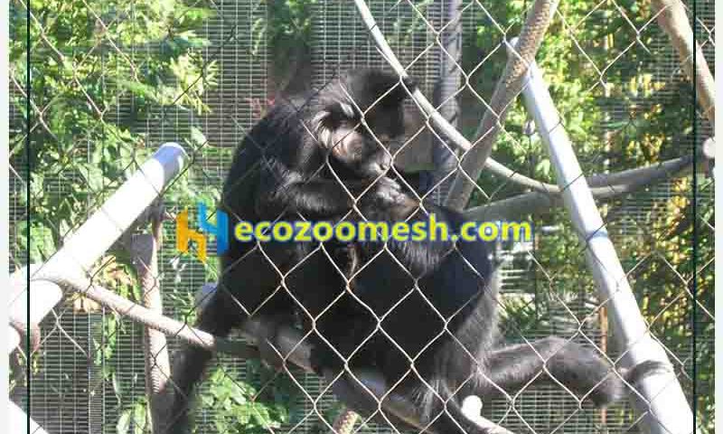Safest Zoo Wire Mesh9